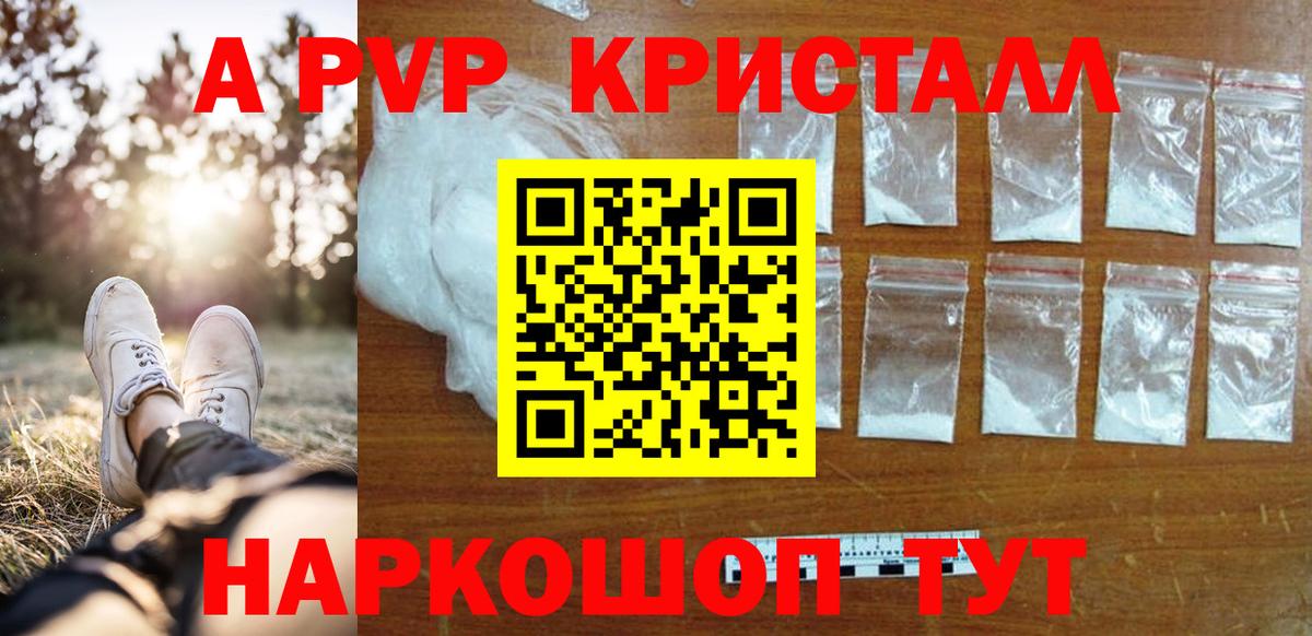 Alpha PVP СК КРИС Урус-Мартан